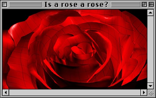 Is a rose a rose / Computerkunst von Klaas Krger